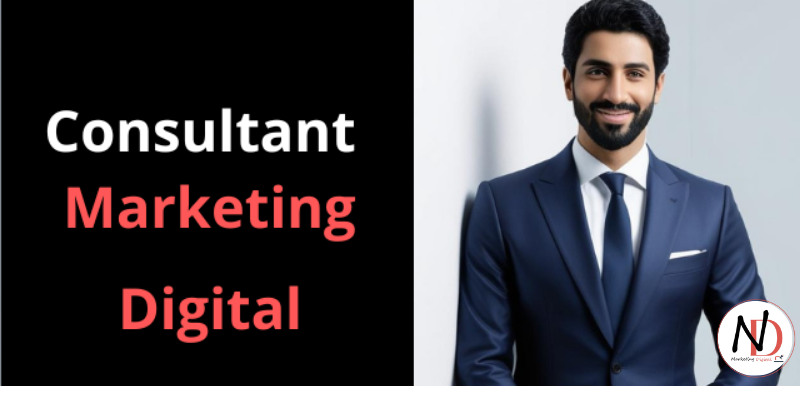 Consultant marketing digital